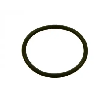 Уплотнительное кольцо насос-форсунки Mercedes Atego OM-904LA-906LA